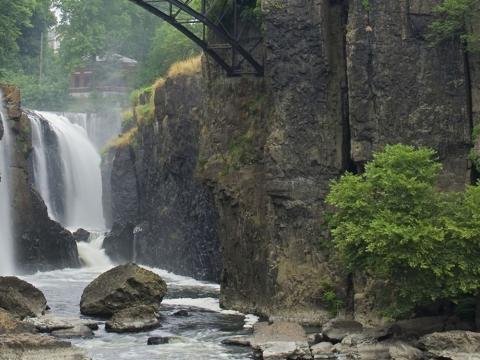 Экскурсия «Парк скульптур и водопады Патерсона» - 25 октября — фото 4