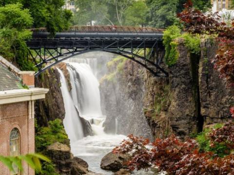 Экскурсия «Парк скульптур и водопады Патерсона» - 25 октября — фото 5
